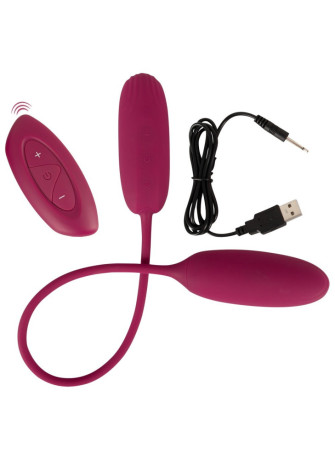 RC Shaking & Vibrating Love Egg Duo